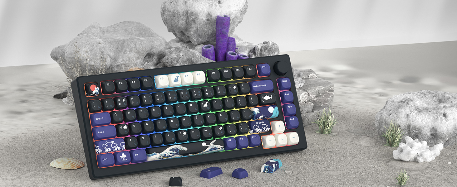 Amazon.com: Womier PBT Black Keyboard Keycaps, Japanese MOA